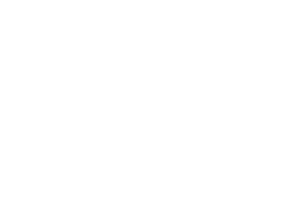 Wyoming bison
